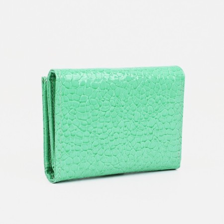 Wallet for magnet, green color-1