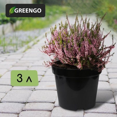Pot for seedlings, 3 l, d = 19 cm, h = 15 cm, black, greengo