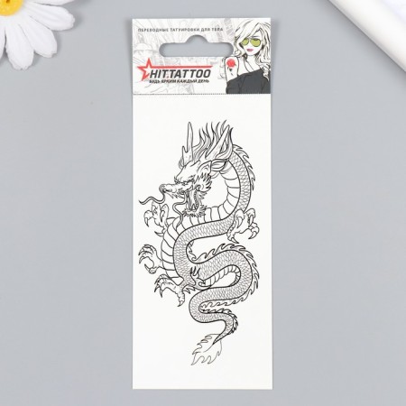 Tattoo on the body "Dragon" 5.6x12 cm