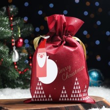 Gift bag 