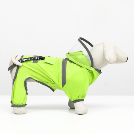 Dog ovens, demi -season with a visor, size S (DS 28, OG 41, Osh 31 cm), Green-2