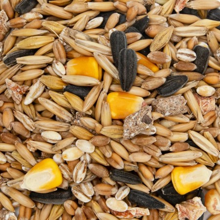 Fodge mixture "Eshka" for decorative rabbits, 450 g-2