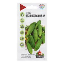 Seeds of the cucumber 