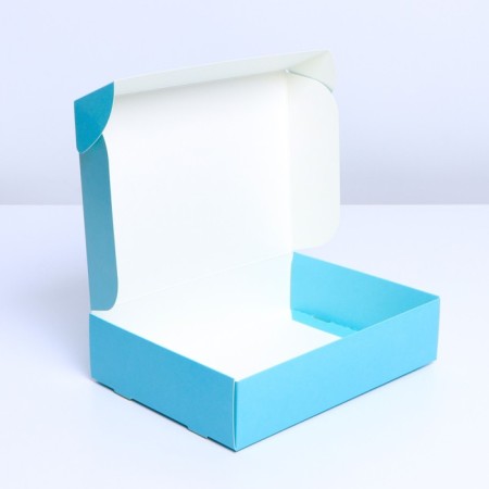 Gift folding box, packaging, Tiffany, 21 x 15 x 5 cm-1