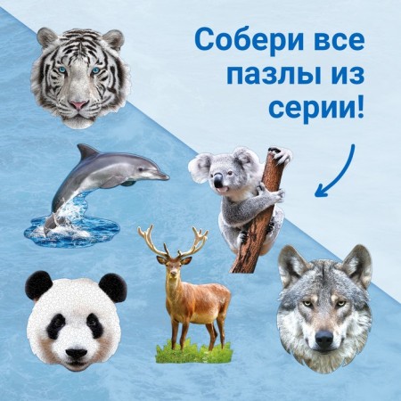 Figure puzzle "Beautiful dolphin", 100 details-4