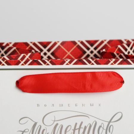 A package for a bottle of craft "Magic moments", 13 x 36 x 10 cm, New Year-3