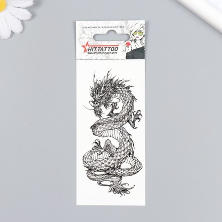 Tattoo on the body "Dragon" 5.6x12 cm