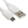 EXPLOYD EX-Z-1437, 2 USB, 2.4 A, MicroUSB cable, white