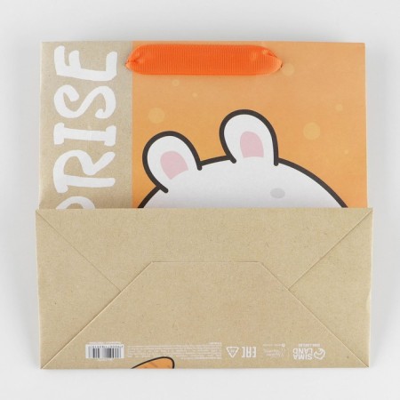 Square gift package package, packaging, “SUPRISE”, 22 x 22 x 11 cm-4