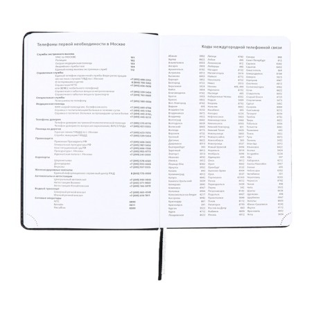 Lotted diary, A5, 136 sheets, leatherette, Devente.elizabeth, a solid cover with foam rubber, a snoop, perforation, lies, a block 70%, black-9