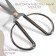 Scissors for needlework, mowed blade, 6.5 ", 17 cm, silver color