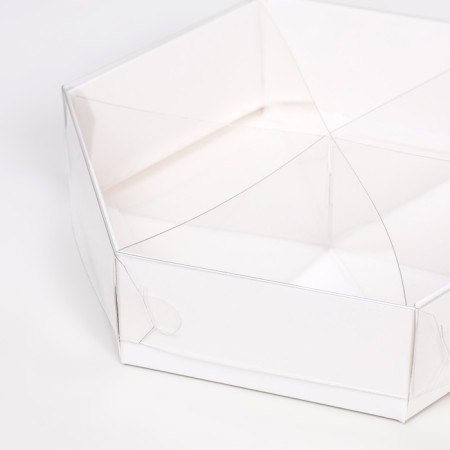 White exchange with a transparent cover and partitions, 18.5 x 18.5 x 4.6 cm-2