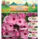 Flox "Ferris Will" rr I, 2 pcs, spring 2024
