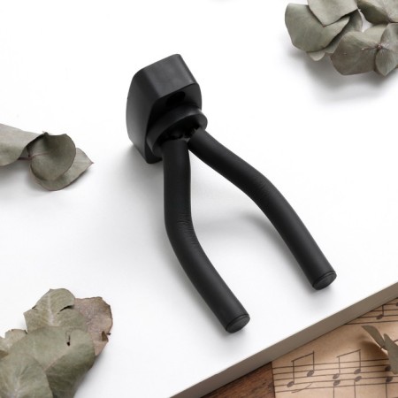 A set of accessories for Music Life guitar, medium-7