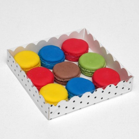 Box for cookies with PVC lid "peas", white, 15 x 15 x 3 cm