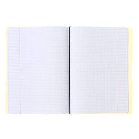 A4 notebook, 48 sheets in the Erichkrause "Folderbook Pastel", a replaceable plastic cover, on the elastic band, the offset unit, whiteness is 100%, yellow-4