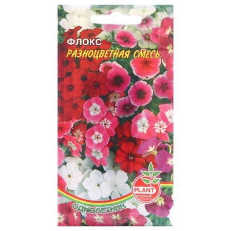 Flowers Flox "Multi -colored mixture", 0.05