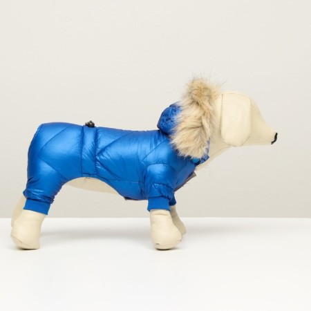 The overalls "boy" with a weight, size 12 (ds 28 cm, og 38 cm, Osh 27 cm), blue hue-1
