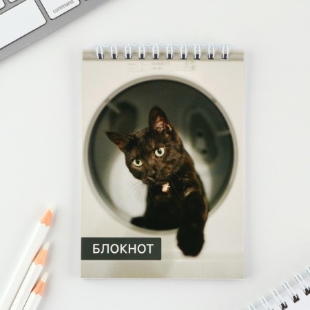 Mix of A6 notebooks, 40 liters on the crest, soft cover "Animals"-4