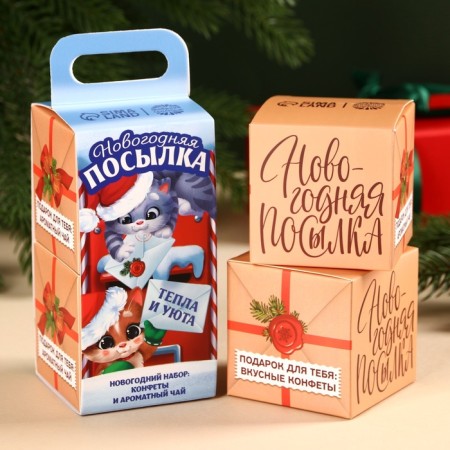 Gift set New Year's "New Year's Parcel": tea, sweets-4