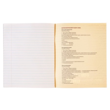 Substantial notebook calligrata "super neon", 48 sheets in the line Russian, with reference material, cover coated cardboard, offset block-3