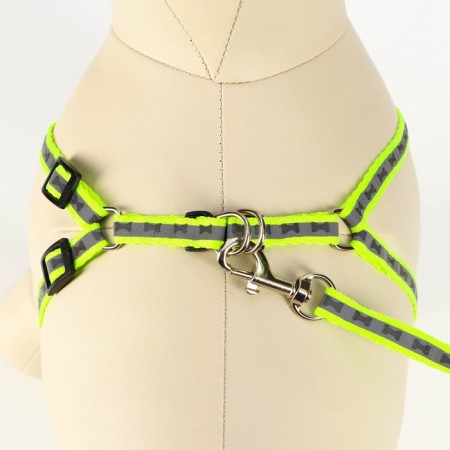 The reflective “bones” set, a collar 120 x 1 cm, Osh 26-42 cm, fire 26-42 cm, green-4