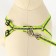 The reflective “bones” set, a collar 120 x 1 cm, Osh 26-42 cm, fire 26-42 cm, green