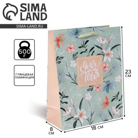 Gift Package Laminated, Packaging, Just for You, MS 18 x 23 x 8 cm