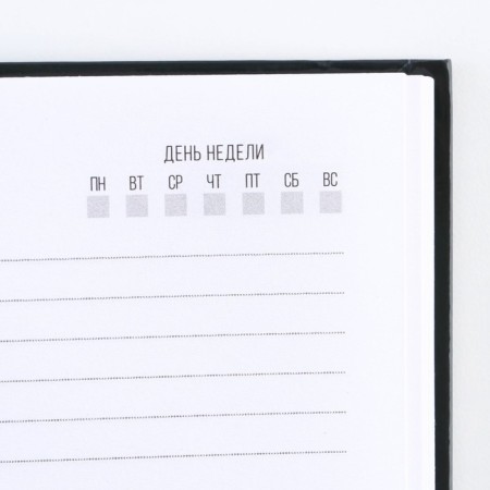 Diary in solid cover A5, 80 "stuffy"-3
