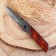Folding Khorkos knife 23cm, blade 98mm/2.2, handle of wood