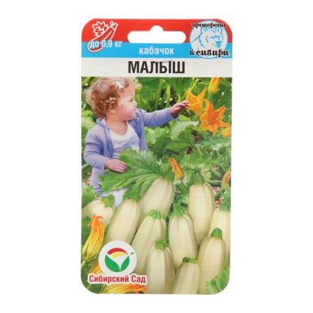 Semen zucchini baby, 5 pcs.