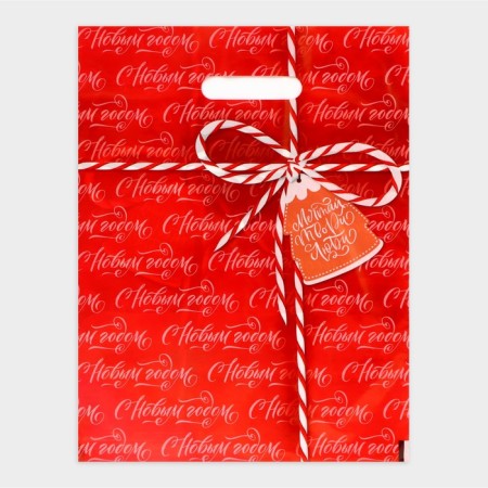 New Year. The package "New Year's gift", polyethylene with a cut pen, 30 x 40 cm.