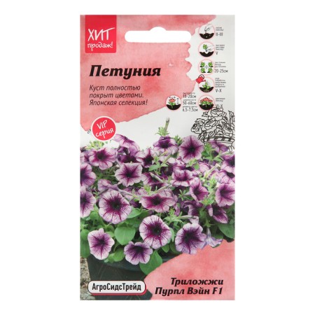 Flowers of Petunia "Triloji Purple Wein", 5 pcs