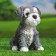 Garden figure "Puppy Mittelshnauser" 19x15cm
