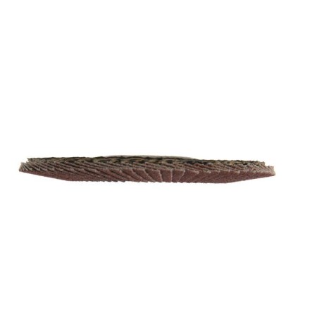 Circle of petal conical scrap, 115 x 22 mm, p120-3