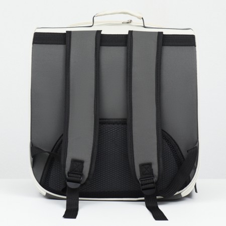 A backpack of cats for cats and dogs, 39 x 40 x 25 cm, gray-3