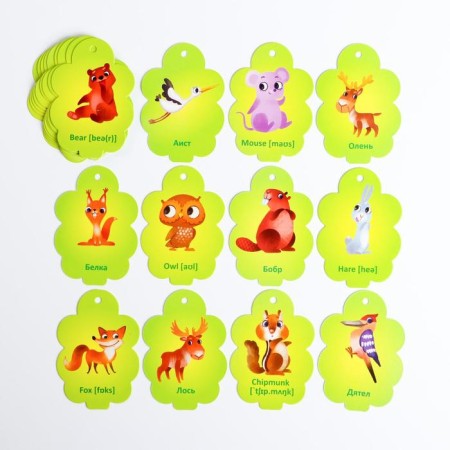 Cards on the ring to learn English “Who lives in the forest?”, 20 cards, ring, 3+-2