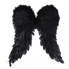Wings 