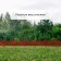 Decorative fence, 30 × 300 cm, 5 sections, plastic, terracotta, Greengo