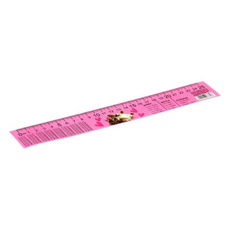 Line-stroke plastic 25 cm ZL-25 table of multiplication "The smallest" flexible-1