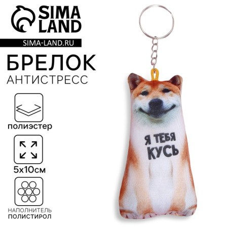 Antistress keychain "I am KUS"