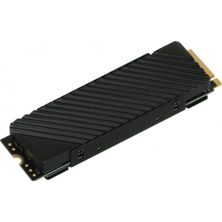 SSD Digma PCI-E 4.0 X4 1TB DGST4001TG33T TOP G3 M.2 2280