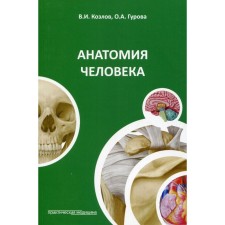 Human anatomy. 4th edition. Kozlov V.I., Gurova O.A.