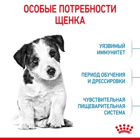 Сухой корм RC Mini Puppy для щенков, 2 кг-3