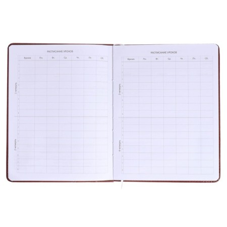 Universal diary for grade 1-11, solid cover, artificial leather, brown cover, liesse, 80 g/m2-4