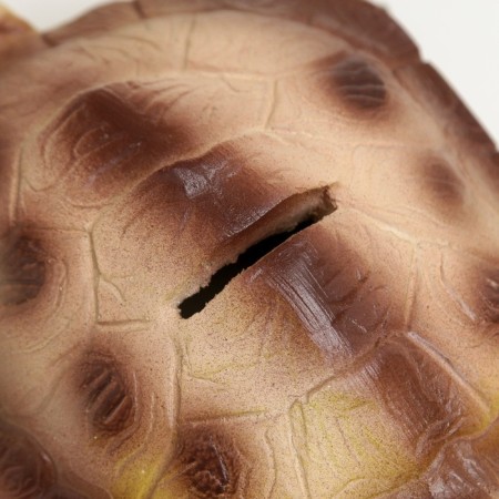 Piggy bank "Turtle Polina" 18x15x8cm-4