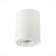 Ceiling lamp ST LUCE. ST108.517.01. 1x50 W, GU10, 9.8x9.8x12.4 cm, white color