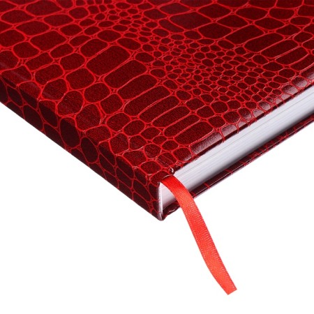 Dated diary 2025, Devente. Flag, Attomex. Arkona, solid cover of boomvinyl with foam, liesse, block 70 g/m2, red-3