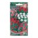 Flower seeds Margarita Pomon. "Alice", 260 pcs
