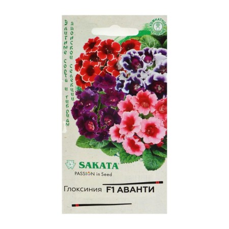 Seeds of indoor flowers gloxinia Avanti "mixture", F1, 4 pcs.-4